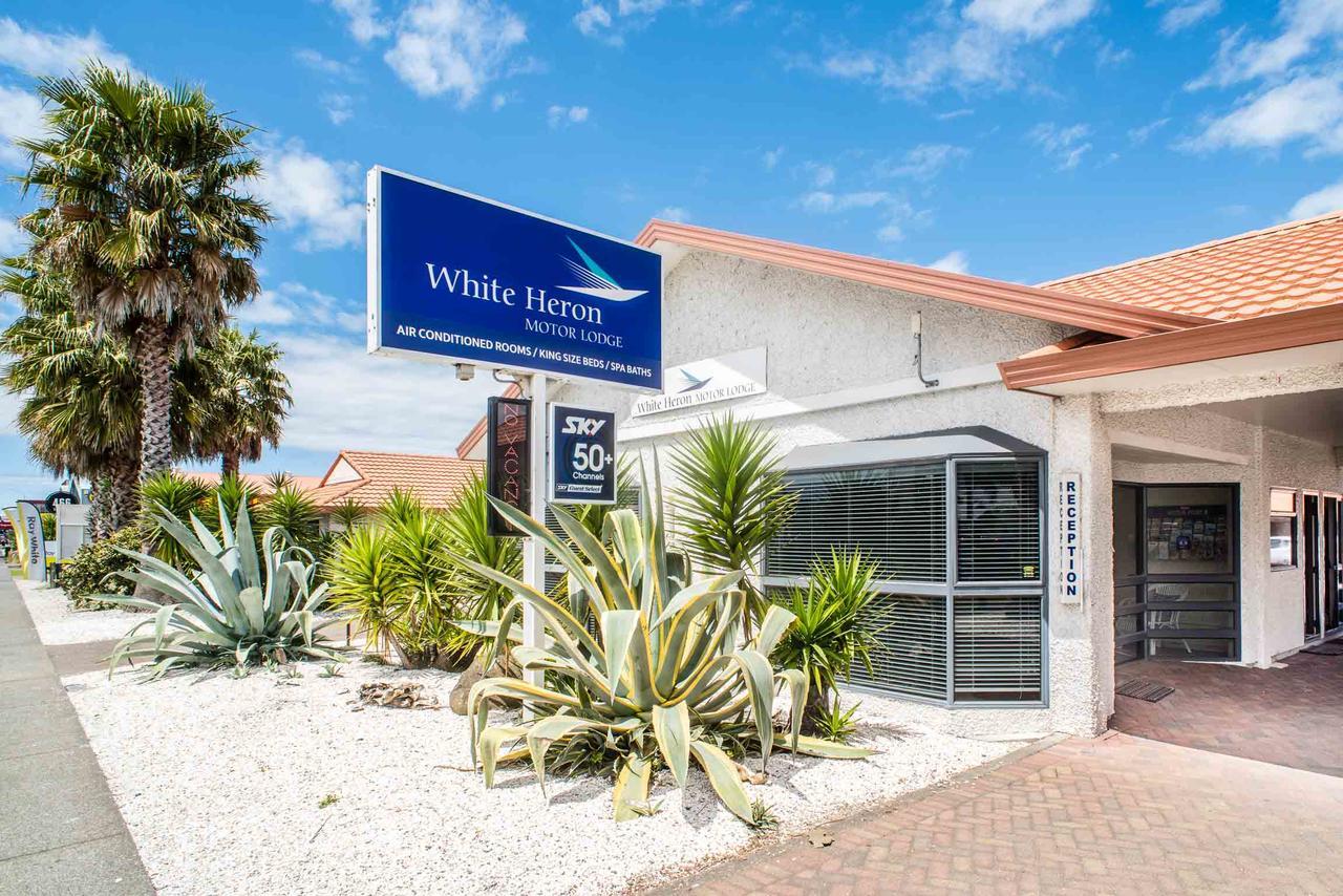 White Heron Motor Lodge Gisborne Buitenkant foto